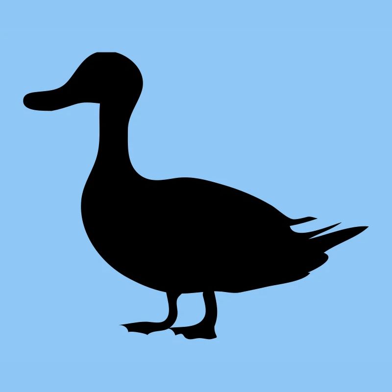 Canard