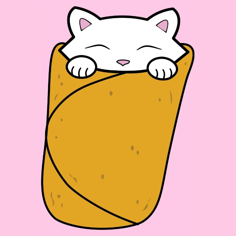 Purrito, burrito de chat mignon.