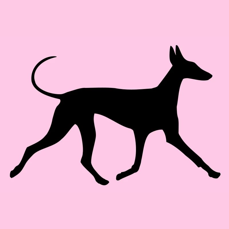Pharaoh Hound