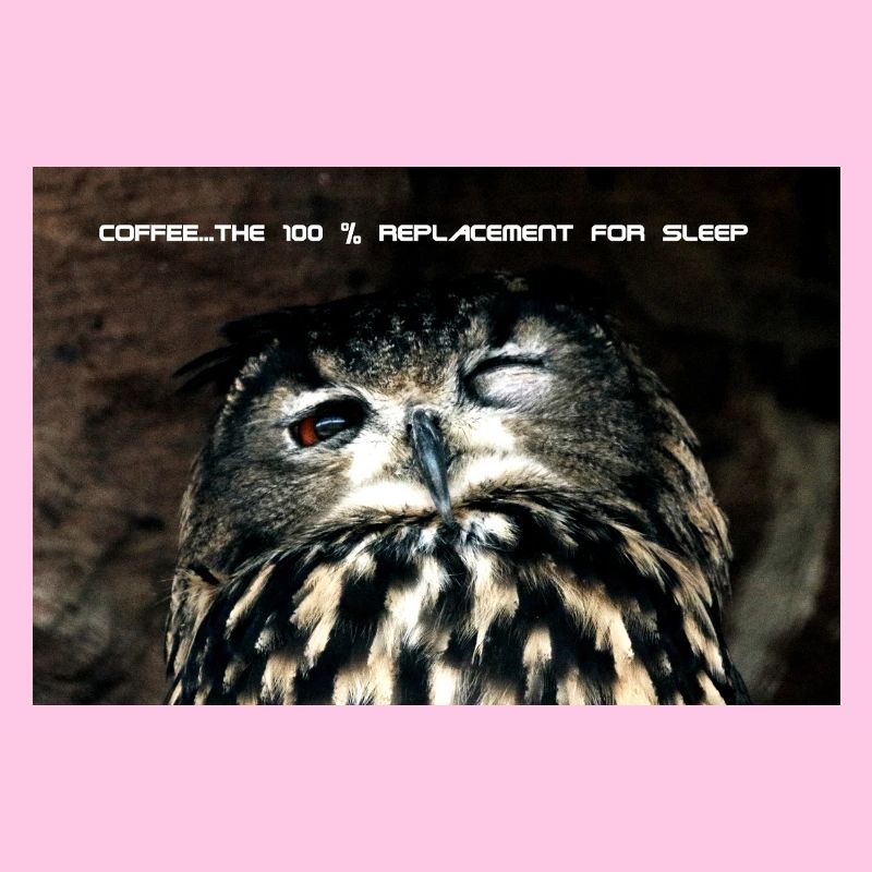 Eule, 100% replacement for coffee