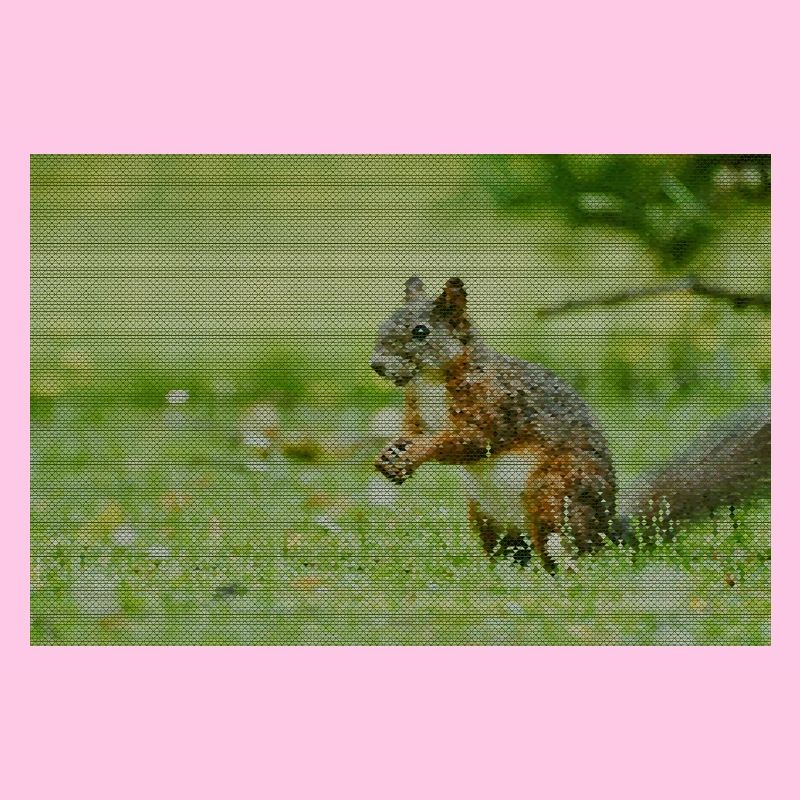 Squirrel Forest Pattern