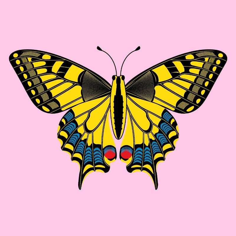 Schmetterling – Papillon