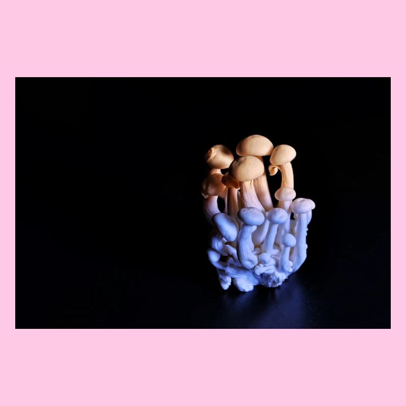 Luminous Mushroom Cluster Neon Glow