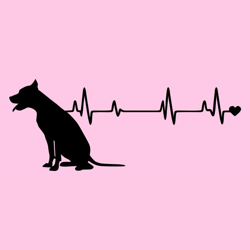 Chien