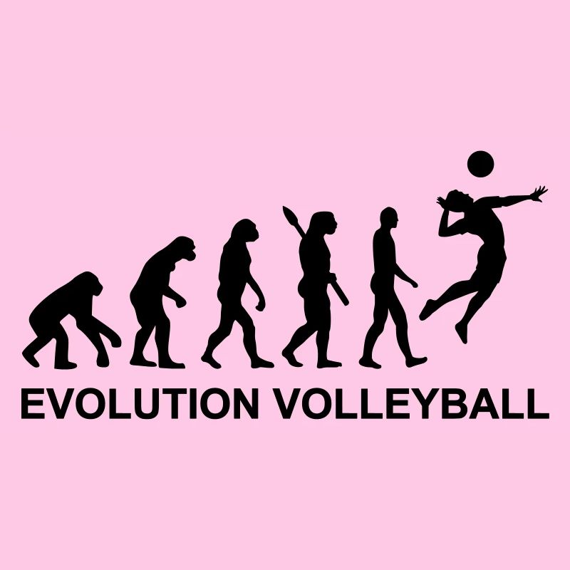 Evolution Volleyball