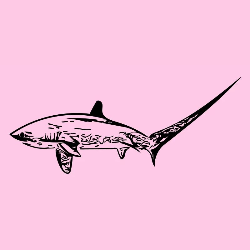 Requin renard élégant