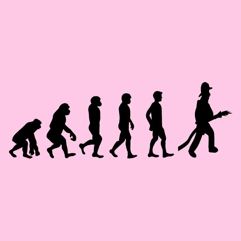 Fire evolution