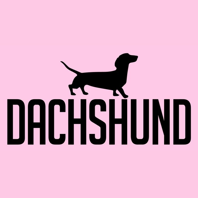 DACHSHUND Hunderasse