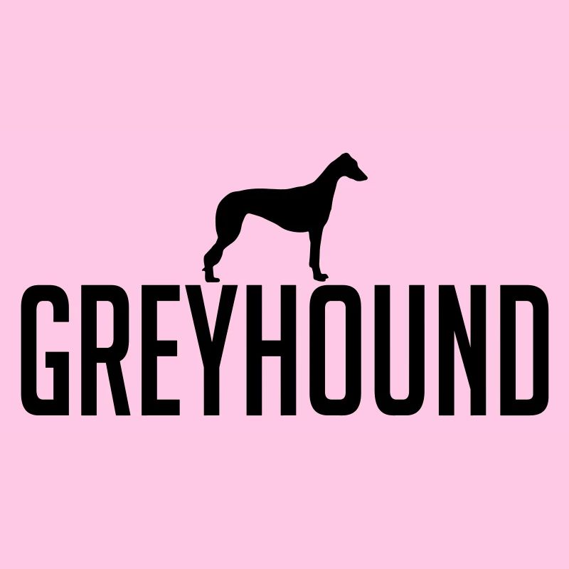 GREYHOUND Hunderasse