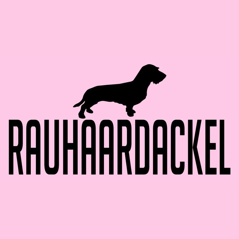 RAUHAARDACKEL Hunderasse