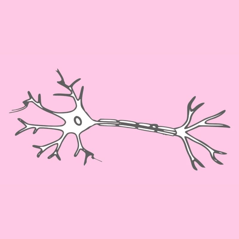 Neuron