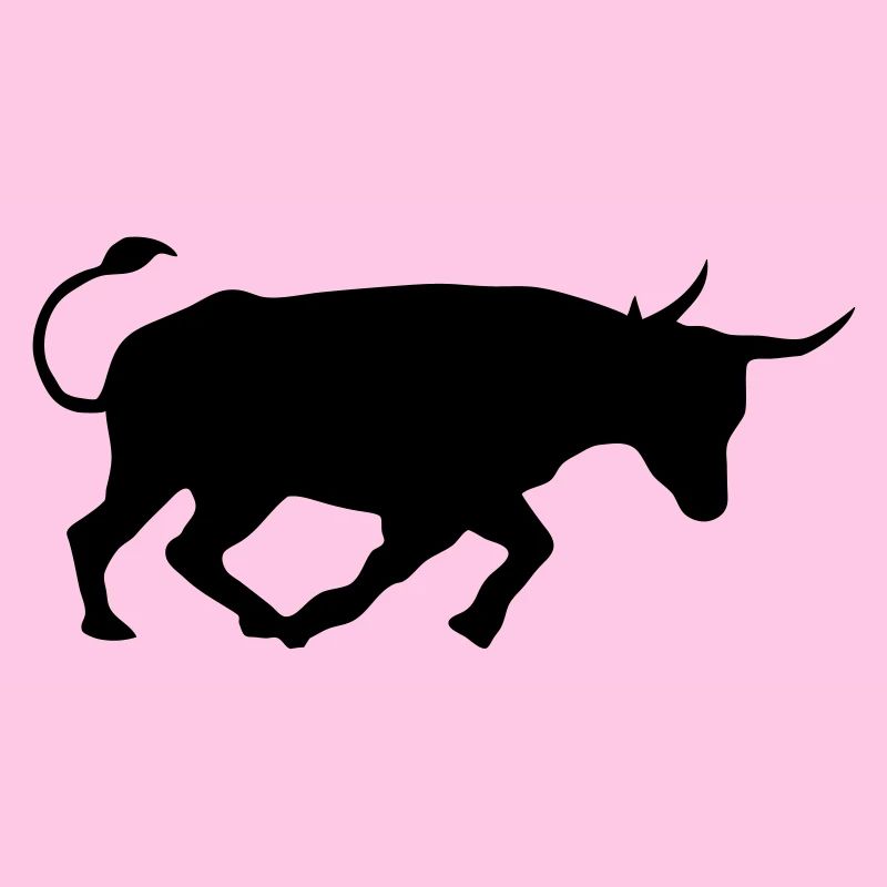 kampfstier andalusien spanischer baskischer stier
