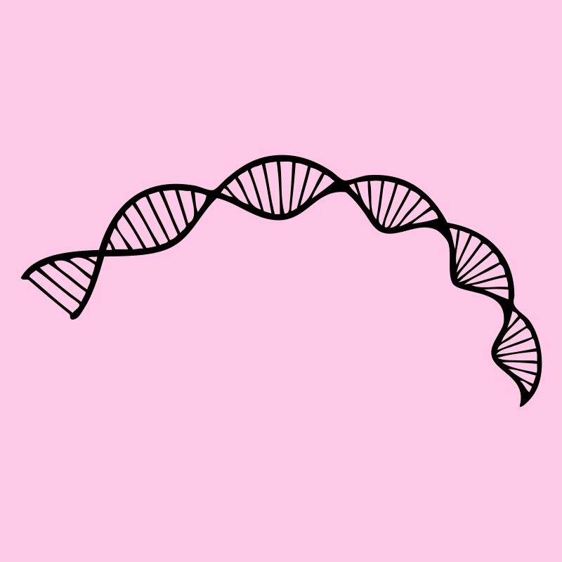 DNA double helix structure cell sequence