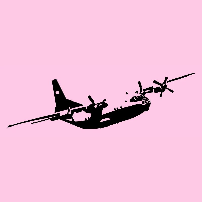 An-12