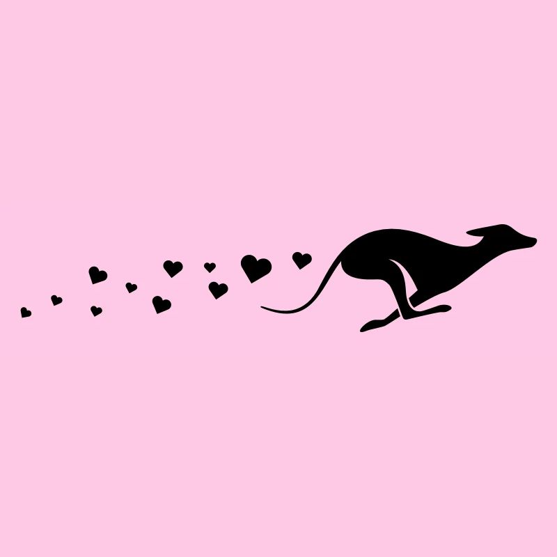 Windhund Liebe – Sighthound Love