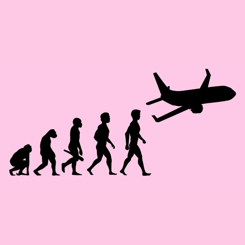 avion volant cockpit aviator pilote d'évolution