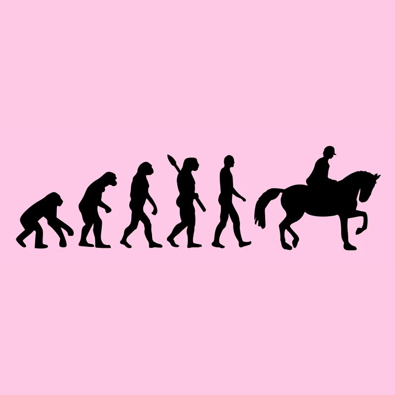 Évolution Cheval