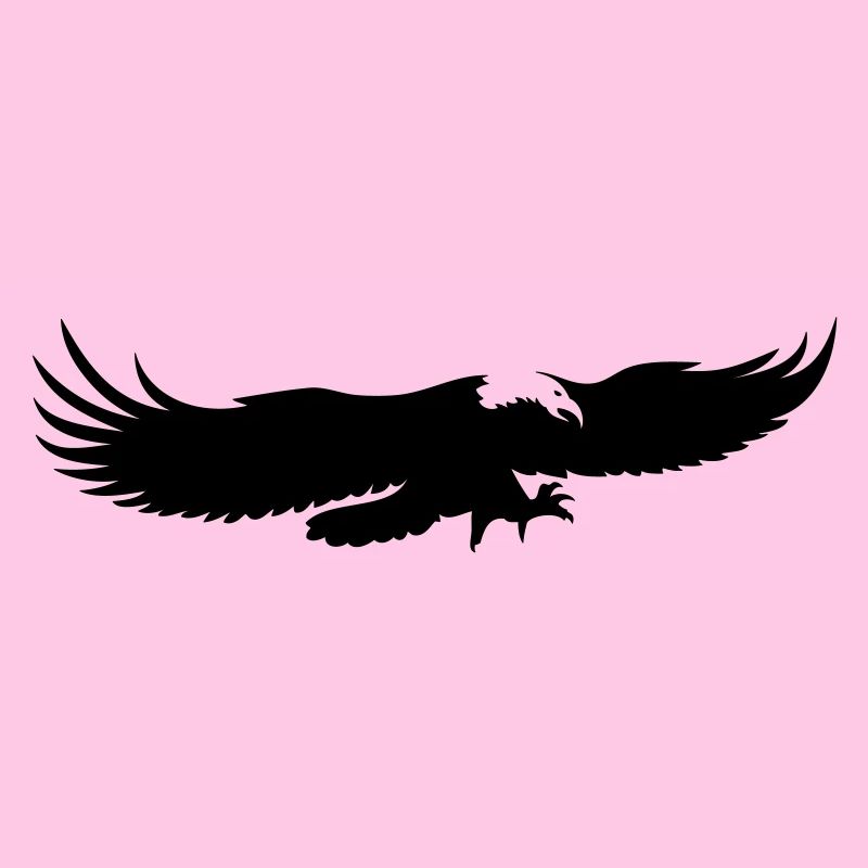 aigle usa pygargue