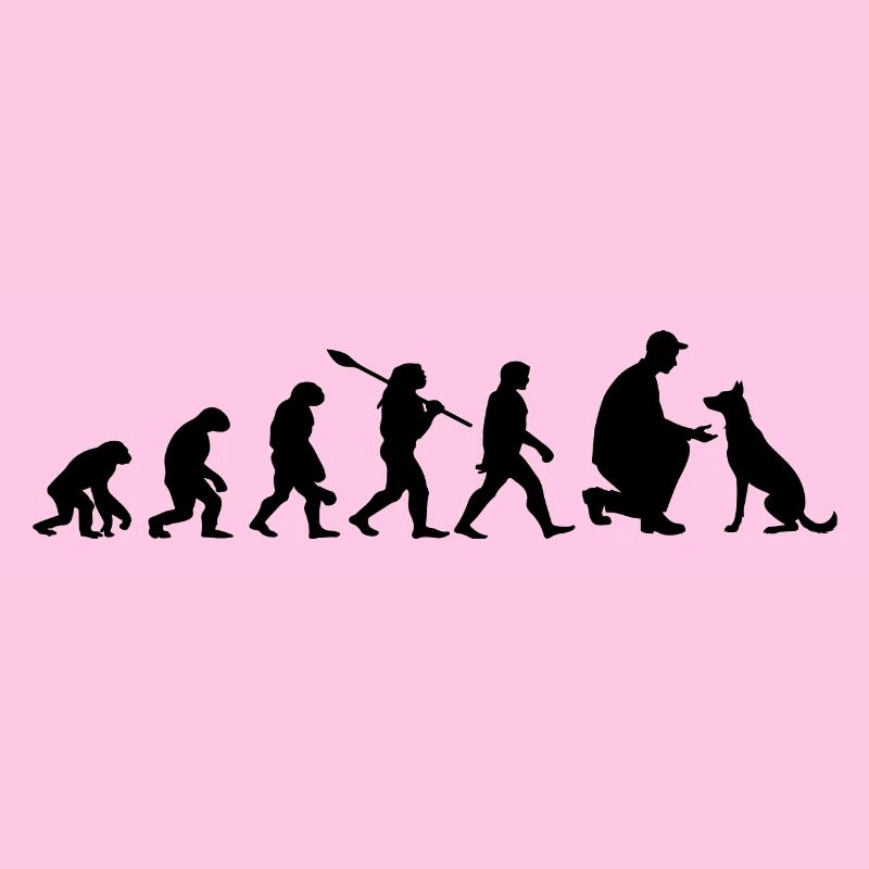 Evolution Lustiger Belgischer Malinois-Schäferhund