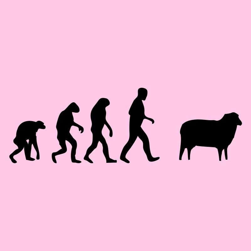 sheep evolution