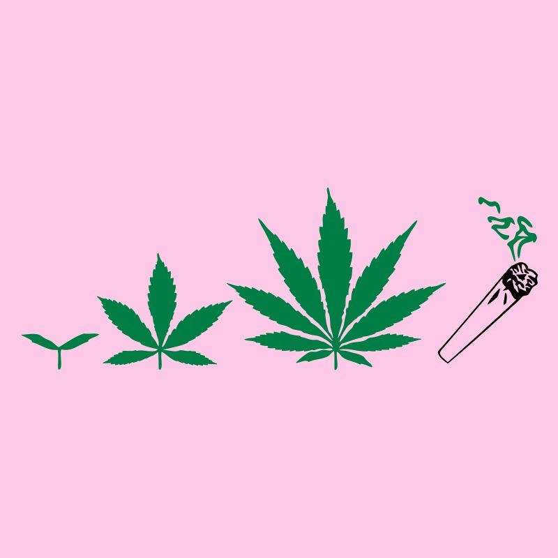 Cannabis development