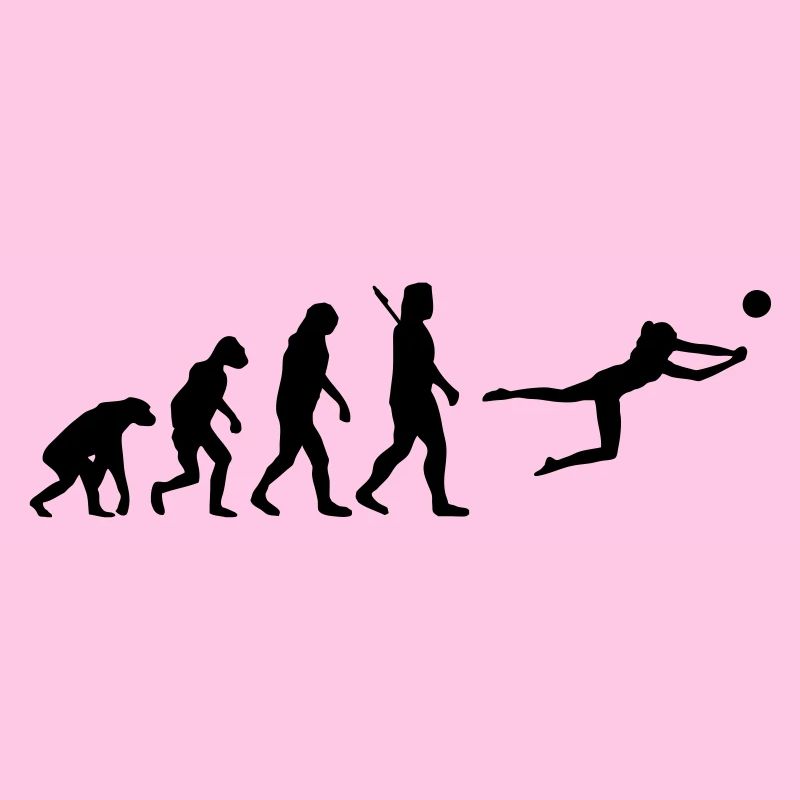 Evolution Beachvolleyball