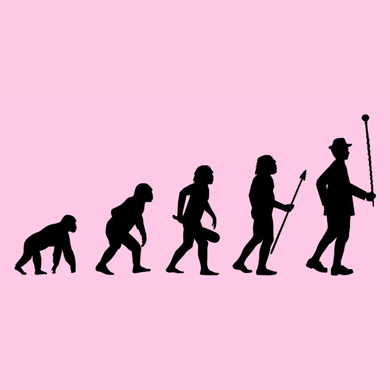 Stabführer Evolution