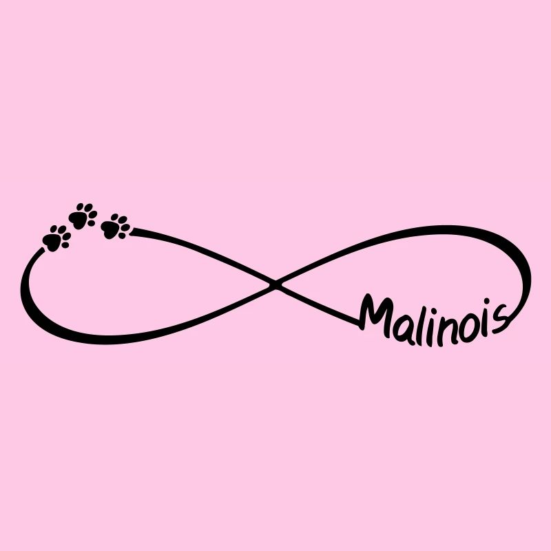 Malinois chiens de berger Infinity