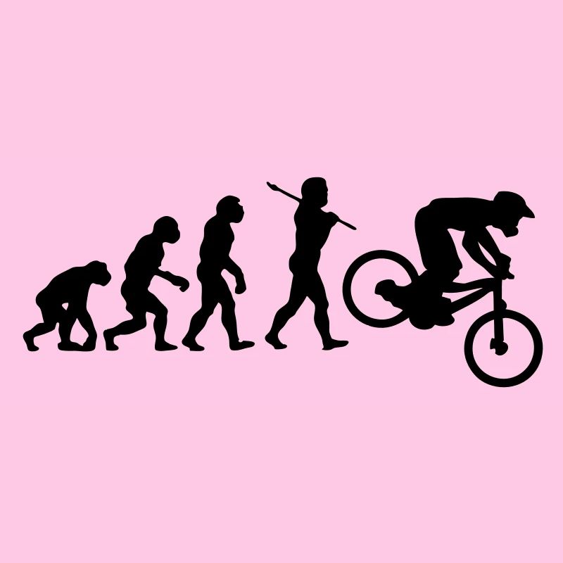 NEW MTB DOWNHILL MOUNTAIN BIKE EVOLUTION
