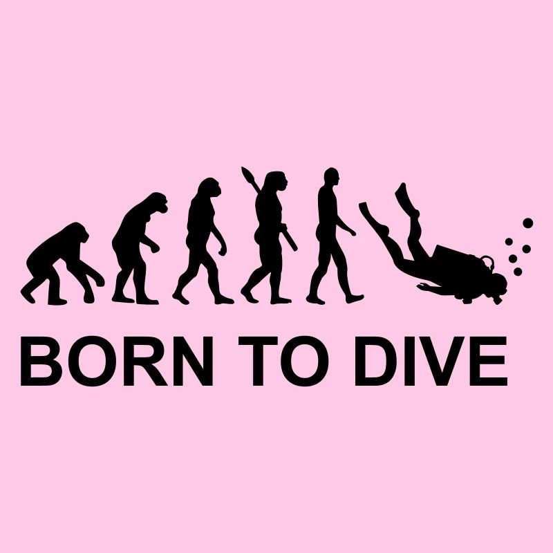 Evolution Tauchen