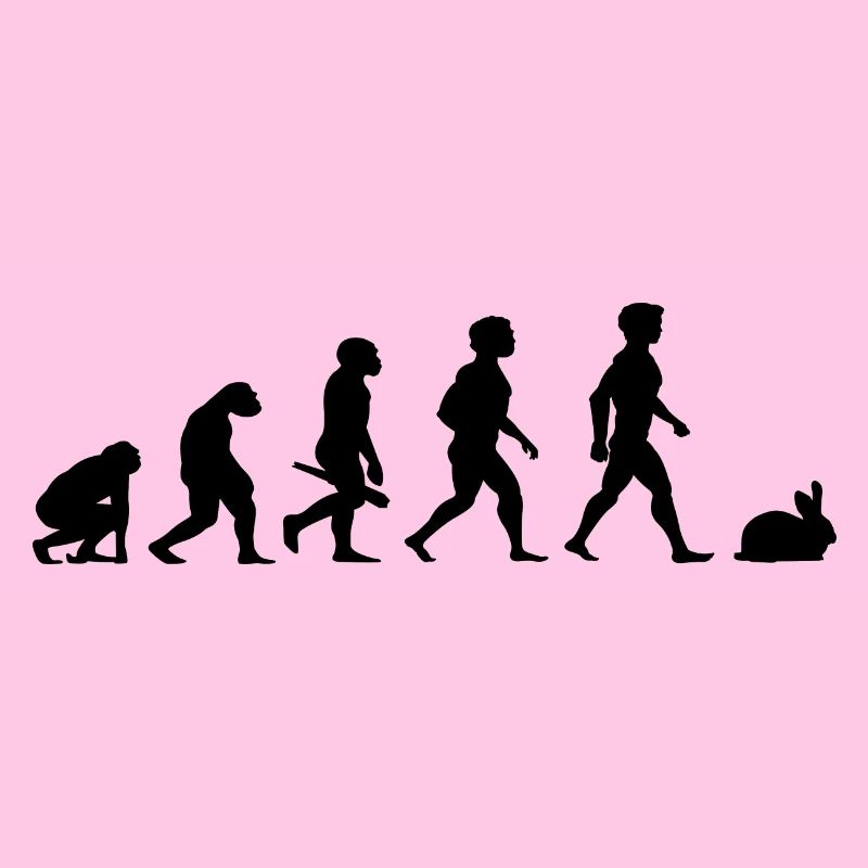 Evolution lapins lapin lapin rongeurs