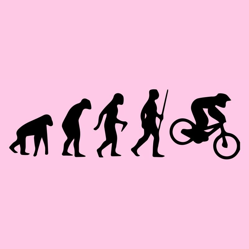 MOTORCROSS EVOLUTION