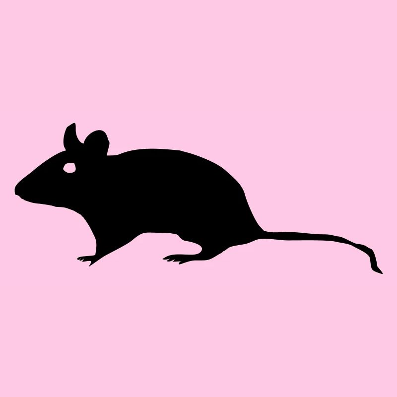 Maus