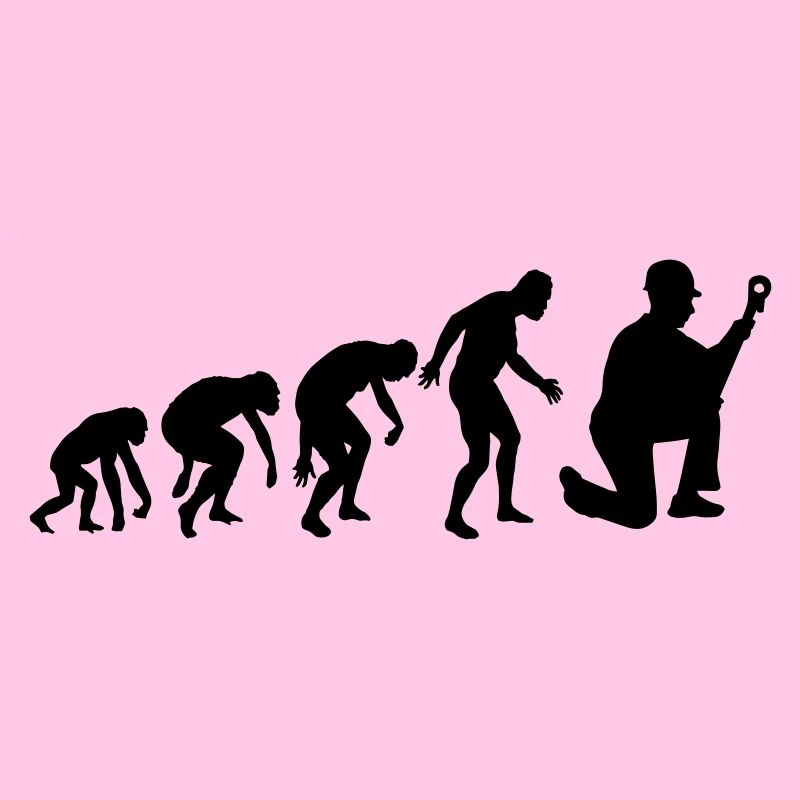 MECHANICS EVOLUTION!