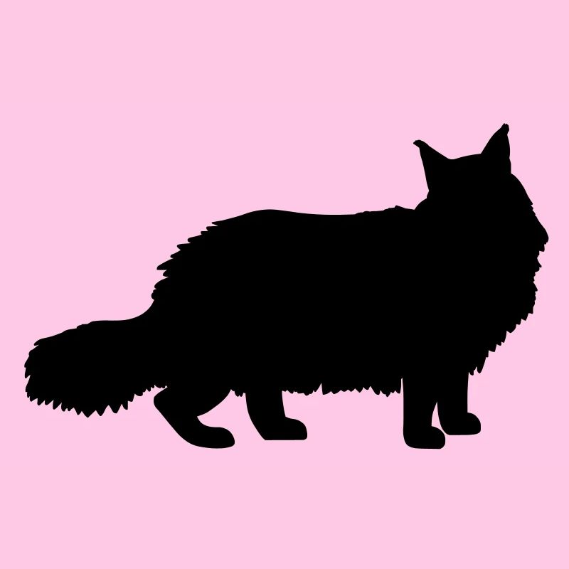 Maine Coon