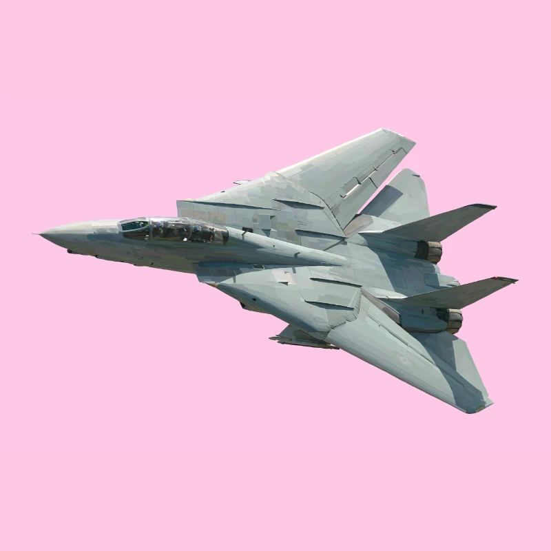 F-14 Tomcat