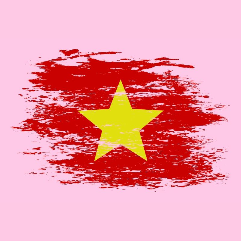 Drapeau du Vietnam utilisé