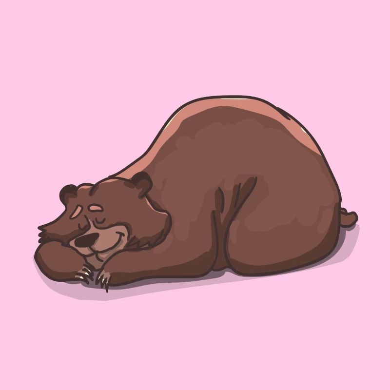 Schlafender Bär