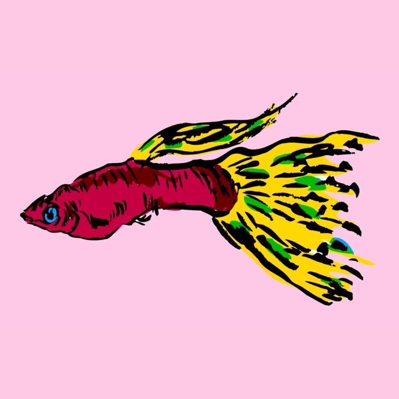 fish