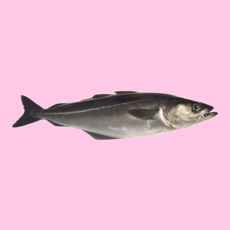 poisson