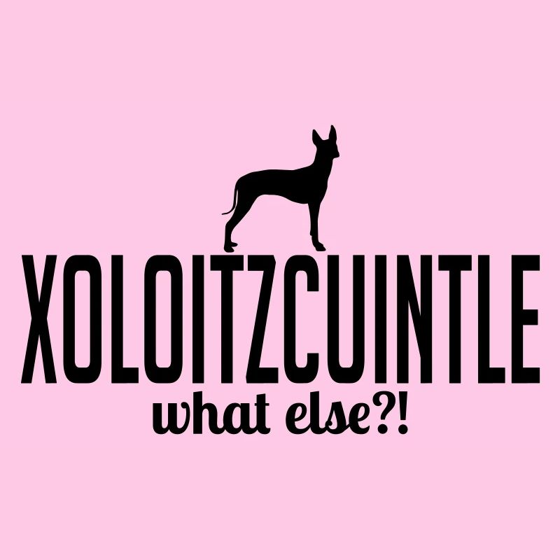XOLOITZCUINTLE what else