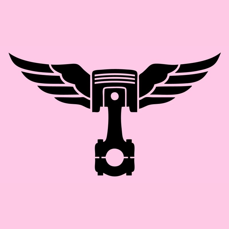 piston et ailes