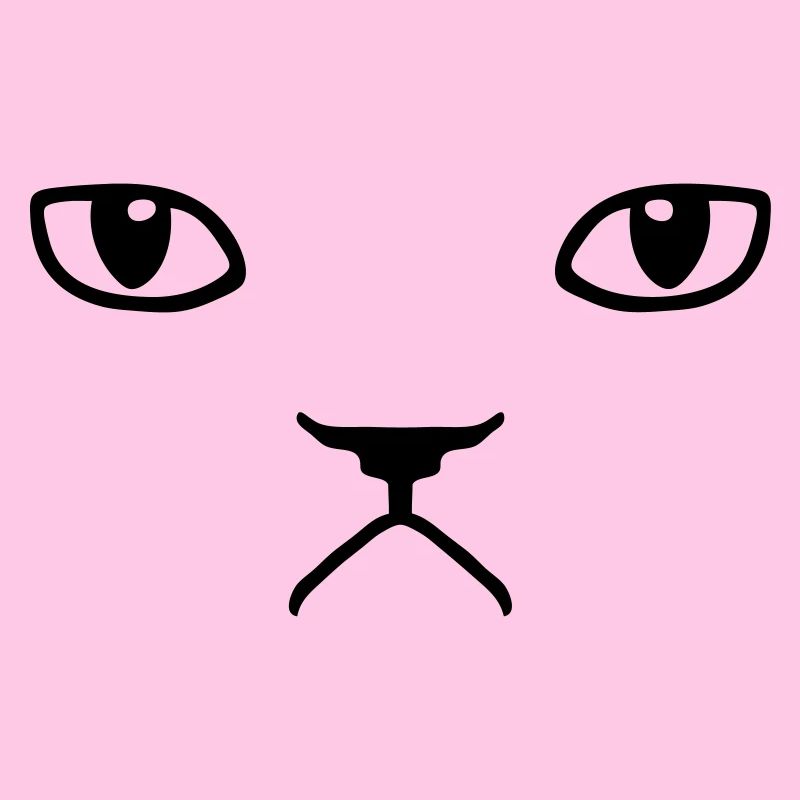 chat pas content grumpy kitty cat