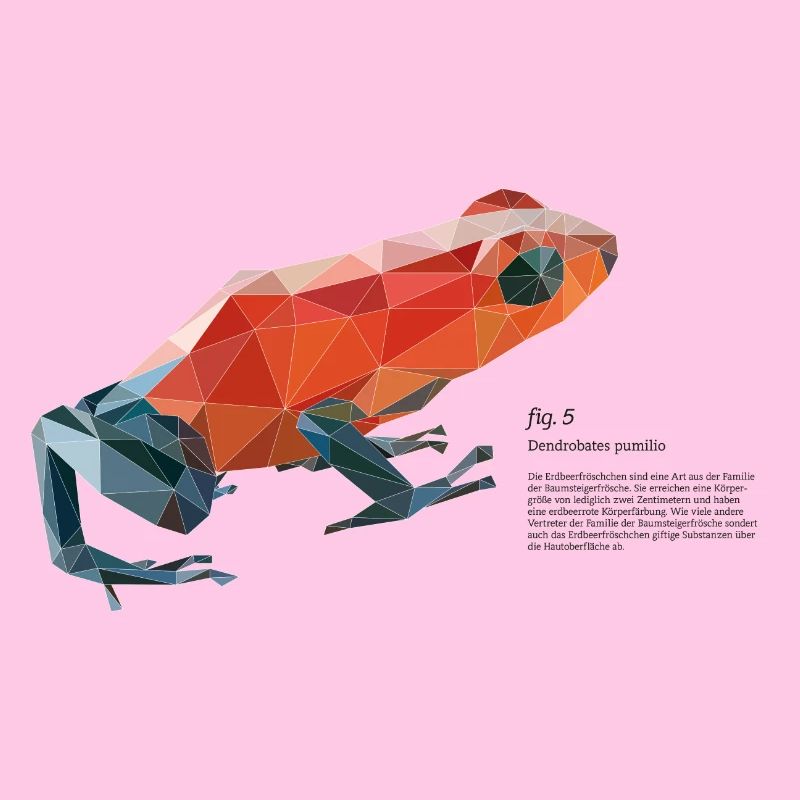 fig5_polygonpfeilgiftfrosch