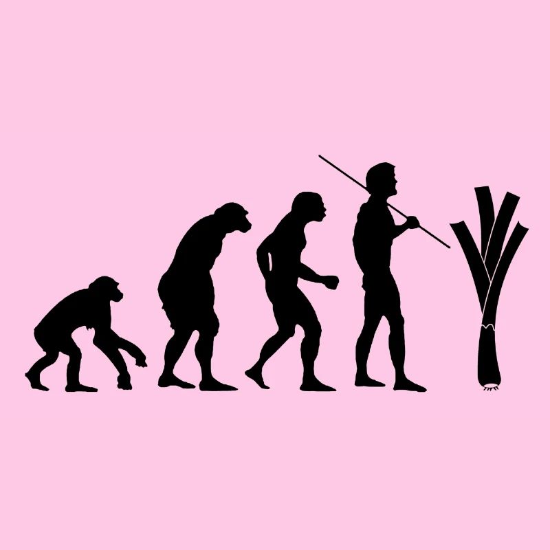 Evolution des Lauchs