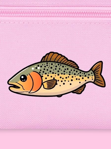 Forelle Fisch
