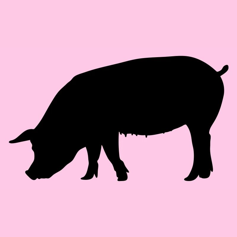 Pig