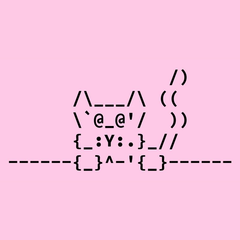 Ascii Katze