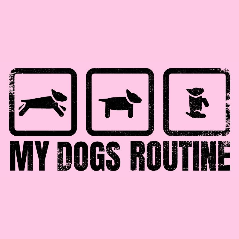 Dog Routine