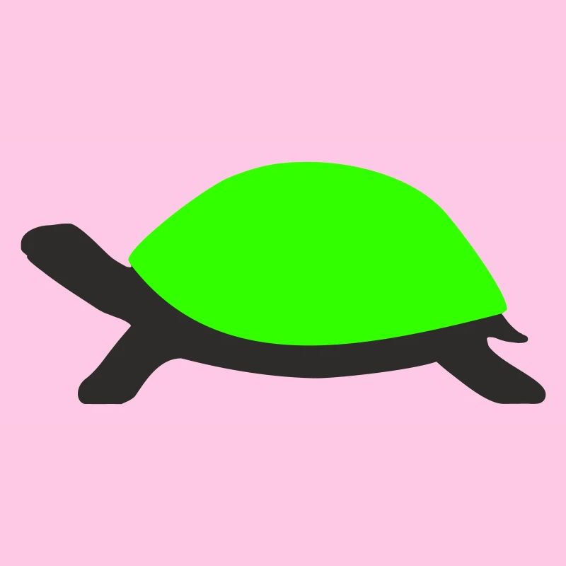 Drawn Turtle